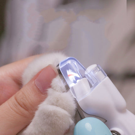 Pet Foldable Swimming Pool