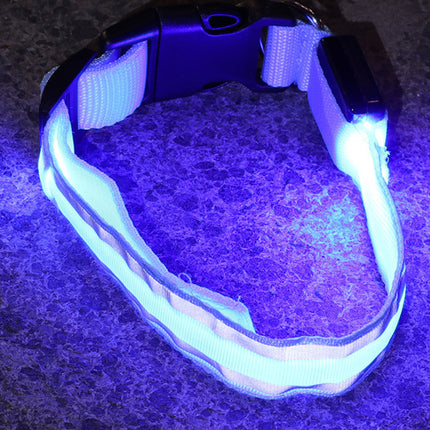 Anti-lost Led Luminous Dog Collar Pet Supplies